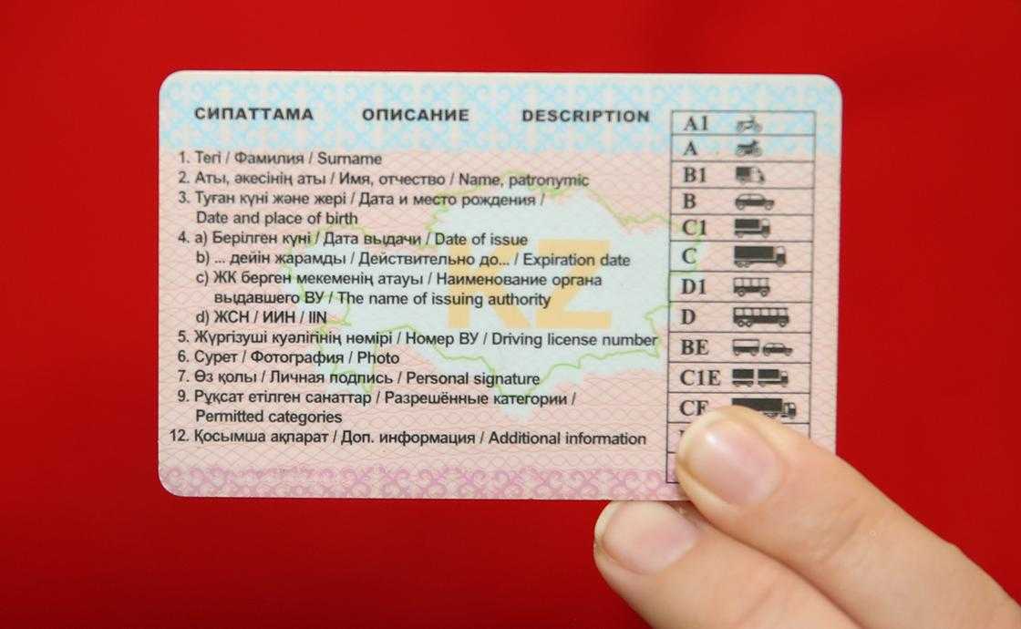 Какие документы нужны для получения водительского удостоверения в гибдд в 2021 году