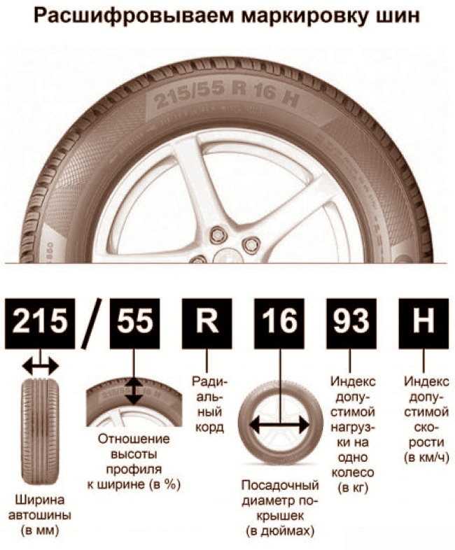 Высота шины: как поднять или опустить автомобиль с помощью шин