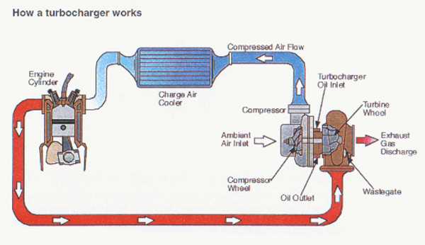 Откуда масло в интеркулере дизельного двигателя