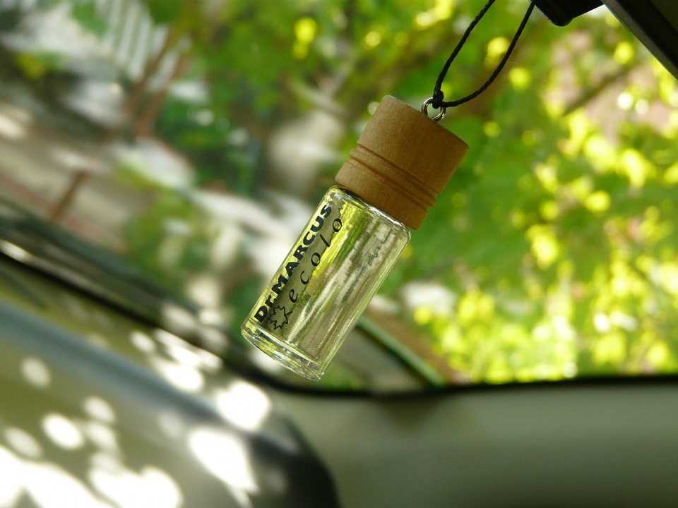 За рулём меньше устаёшь, когда в салоне приятно пахнет: рейтинг лучших ароматизаторов воздуха для автомобиля в 2020 году