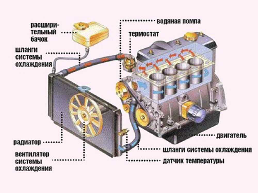 Назначение и устройство системы охлаждения двигателя. грузовые автомобили. системы охлаждения и смазки